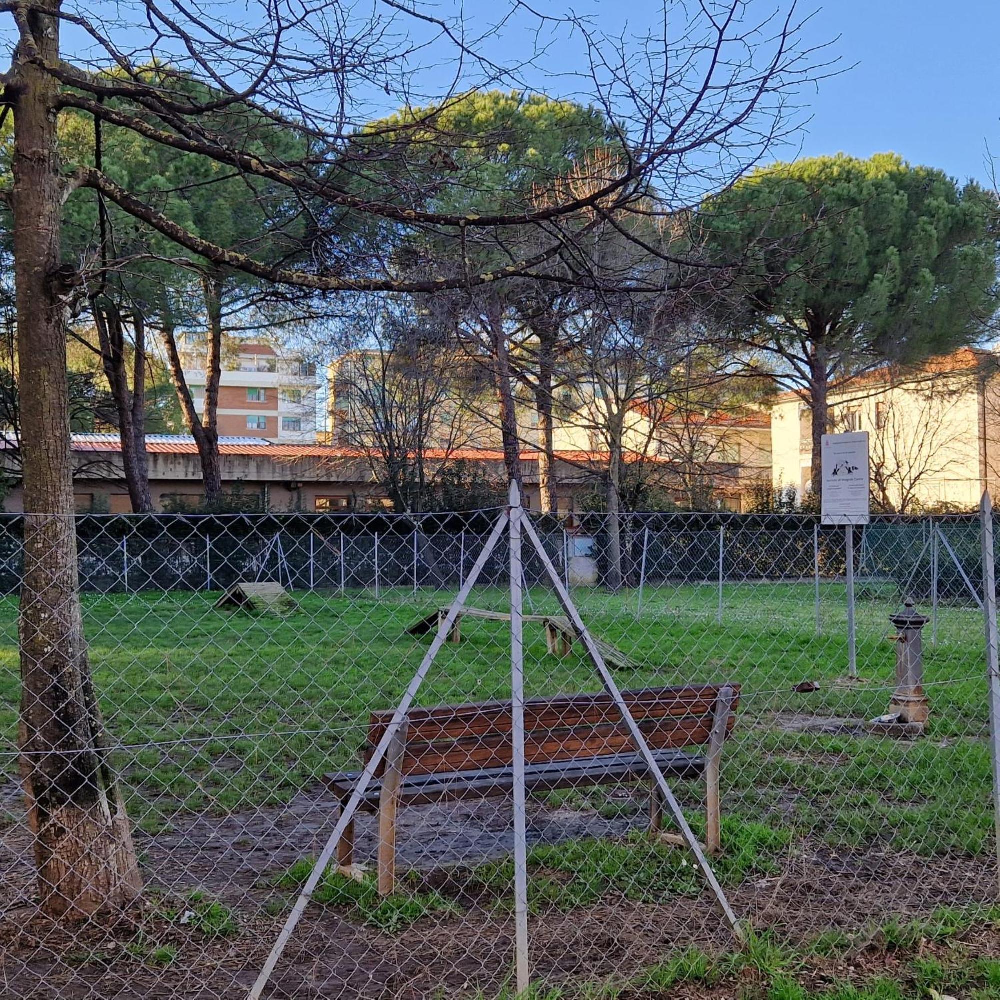 A Casa Mia Apartment Pisa Exterior photo